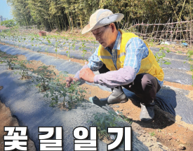 포토갤러리사진